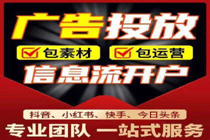 顶级SEM服务公司案例解析